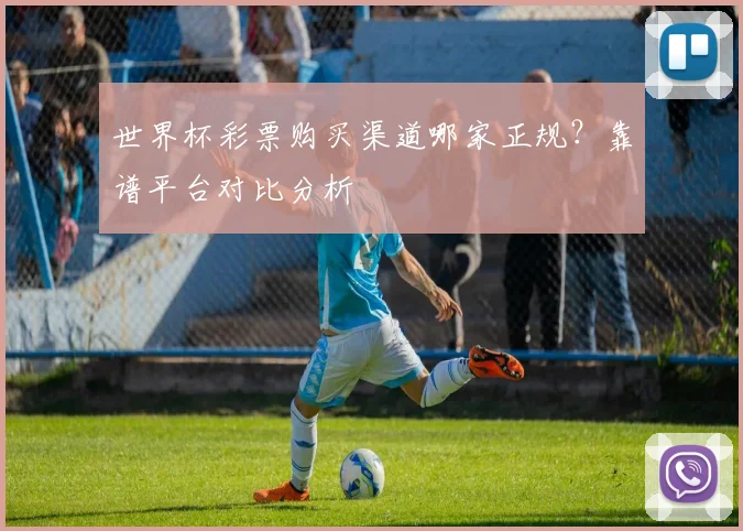 世界杯彩票购买渠道哪家正规?靠谱平台对比分析