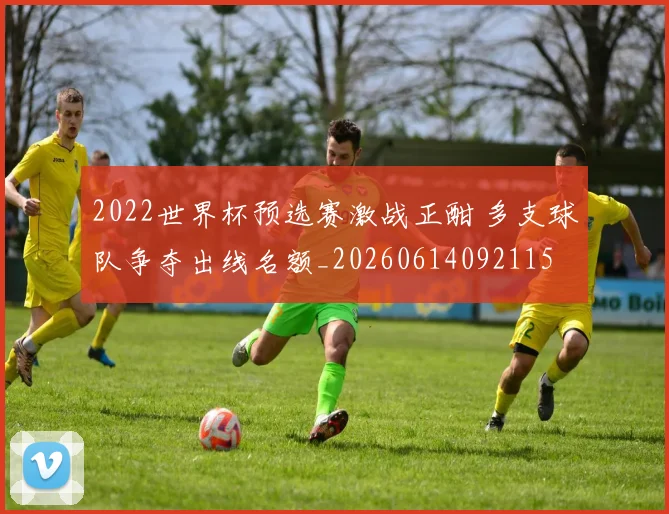 2022世界杯预选赛激战正酣 多支球队争夺出线名额_20260614092115