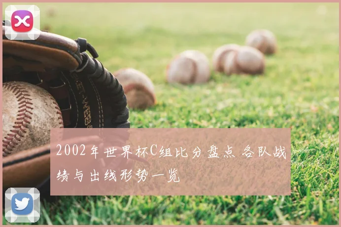 2002年世界杯C组比分盘点 各队战绩与出线形势一览