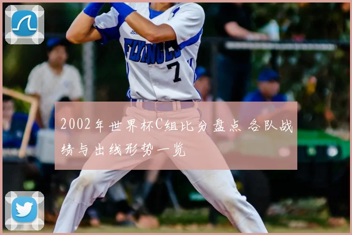2002年世界杯C组比分盘点 各队战绩与出线形势一览