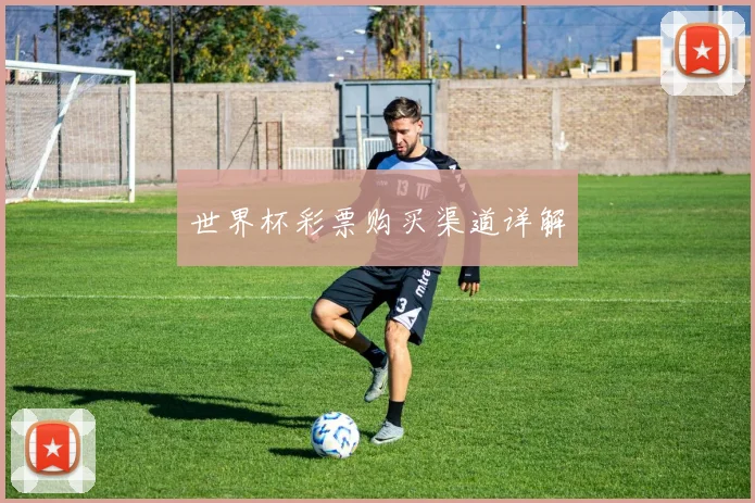 世界杯彩票购买渠道详解