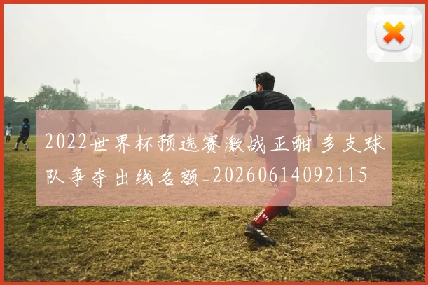 2022世界杯预选赛激战正酣 多支球队争夺出线名额_20260614092115