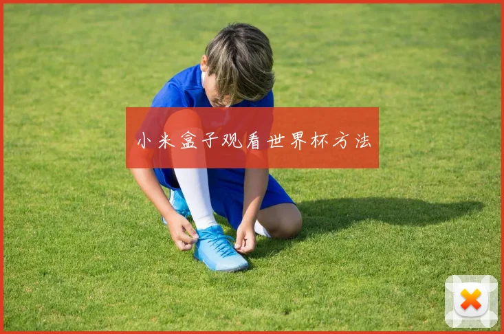 小米盒子观看世界杯方法