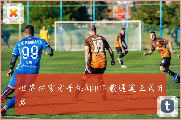 世界杯官方手机App下载通道正式开启
