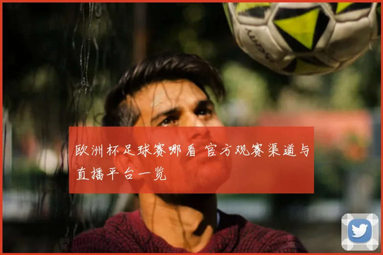 欧洲杯足球赛哪看 官方观赛渠道与直播平台一览