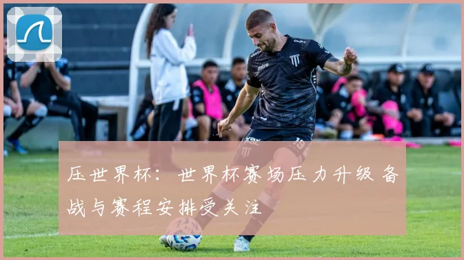 压世界杯：世界杯赛场压力升级 备战与赛程安排受关注
