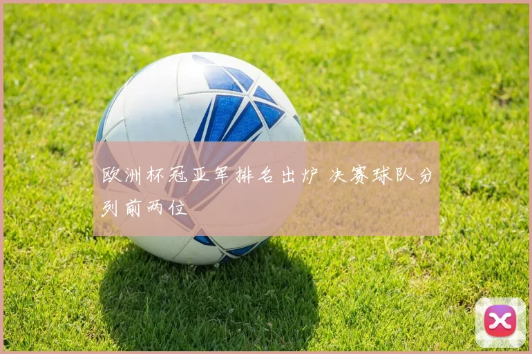 欧洲杯冠亚军排名出炉 决赛球队分列前两位
