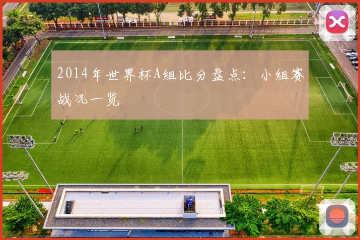 2014年世界杯A组比分盘点：小组赛战况一览