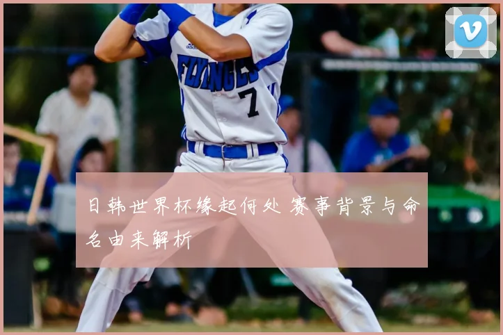 日韩世界杯缘起何处 赛事背景与命名由来解析
