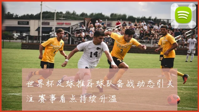 世界杯足球推荐球队备战动态引关注 赛事看点持续升温